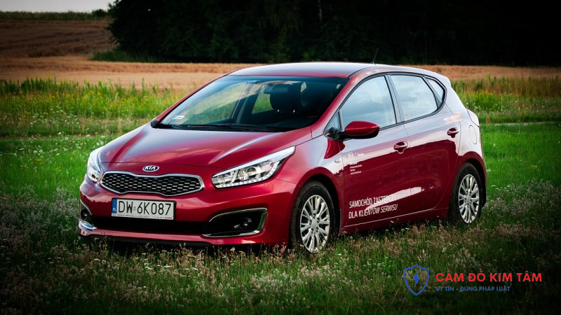 Dịch vụ cầm xe hơi tại Tiền Giang: Những điều cần biết