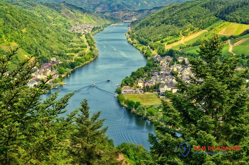 Hướng dẫn cầm sổ đỏ công chứng ủy quyền hiệu quả và đúng quy định pháp luật