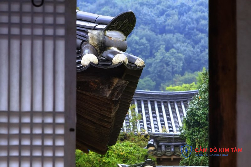 Hướng dẫn cầm sổ đỏ tại Cần Thơ hiệu quả và an toàn