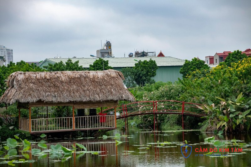 Hướng dẫn cầm sổ đỏ tại Hòa Bình hiệu quả và an