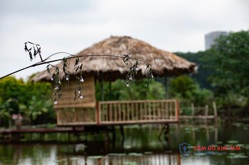 Hướng dẫn cầm sổ đỏ tại Lâm Đồng hiệu quả và an toàn