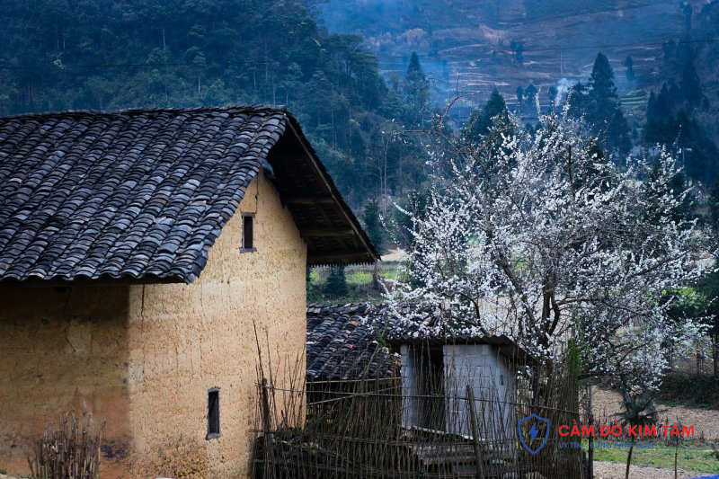 Hướng dẫn cầm sổ đỏ tại Long An hiệu quả và an toàn