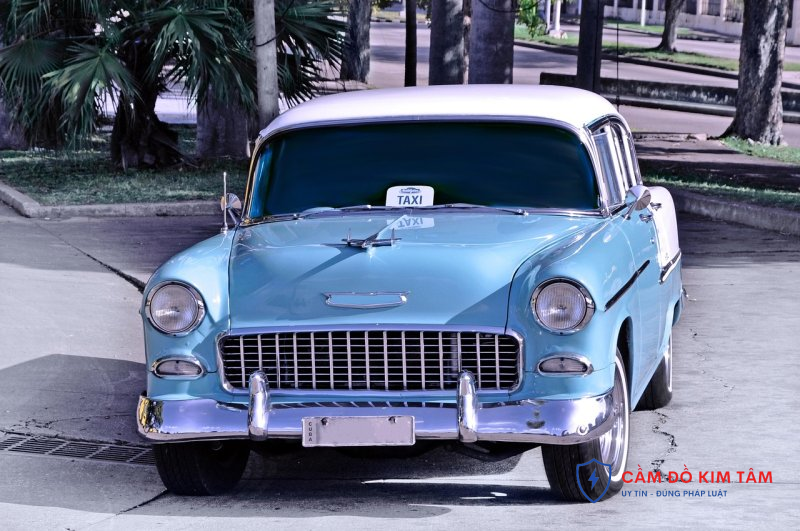 Cầm cà vẹt không chính chủ: Những rủi ro và cách xử lý hiệu quả