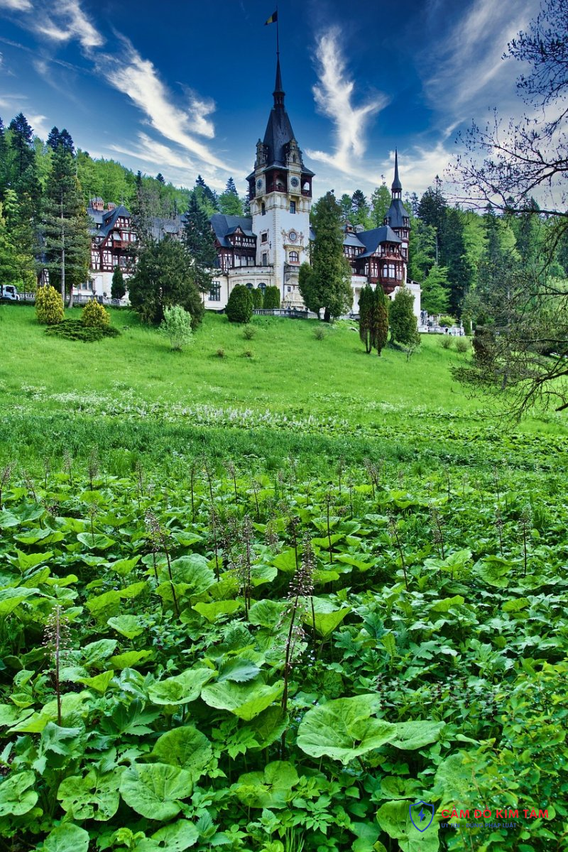 Cầm cố bất động sản tại Nghệ An: Những điều cần biết và lưu ý