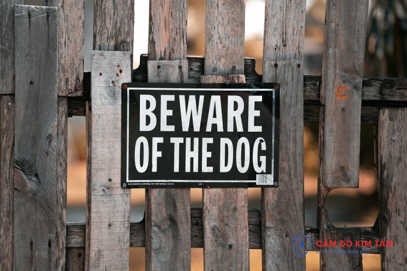 Cầm nhà đất tại Lâm Đồng: Những điều cần biết và lưu ý khi thực hiện giao dịch