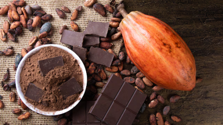 Sức hấp dẫn của cacao từ truyền thống đến hiện đại