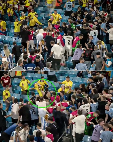 Nunez và cầu thủ Uruguay nhảy lên khán đài đánh nhau với cổ động viên Colombia