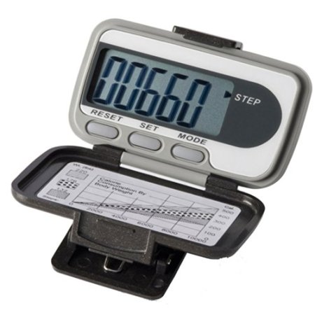 EKHO Two Pedometer