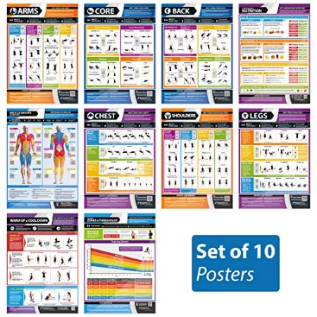 Posterfit Training & Fitness Essentials - Set of 10 - Laminated - LARGE FORMAT - Size - 33” x 23.5” - Gym Workout Posters - Video tutorials
