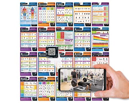 Workout Posters for Home Gym | Muscle Group Gym Poster | Exercise Posters | Laminated Gym or Home Workout Chart | Free Video Training Support | Large Size 24