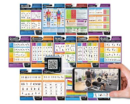 Workout Posters for Home Gym | Muscle Group Gym Poster | Exercise Posters | Laminated Gym or Home Workout Chart | Free Video Training Support | Large Size 33